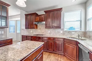 17016 Pale Anemone St, Parker, CO 80134 - Photo 13