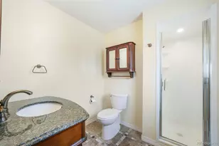 156 Johnson Pl, Castle Rock, CO 80104 - Photo 37