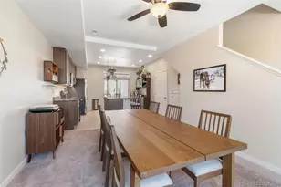 20016 E 48th Pl, Denver, CO 80249 - Photo 9