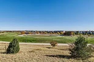 2855 Xanthia St, Denver, CO 80238 - Photo 33