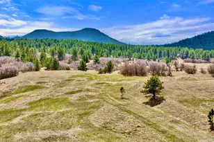 2 S Perry Park Rd, Larkspur, CO 80118 - Photo 1