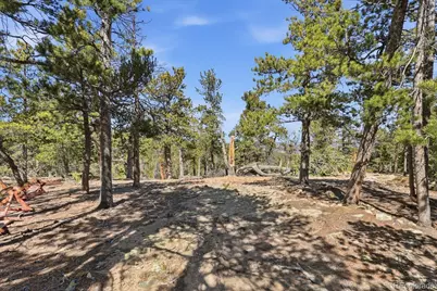 33149 Janelle Circle, Golden, CO 80403 - Photo 5