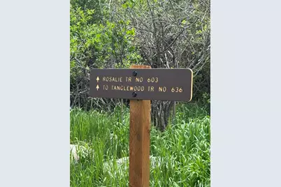 7823 County Road 43, Bailey, CO 80421 - Photo 47