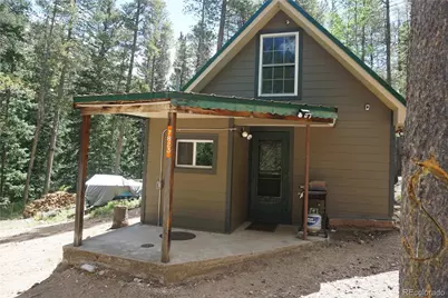 7823 County Road 43, Bailey, CO 80421 - Photo 3