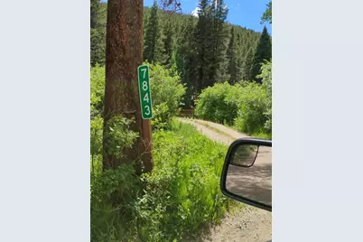 7823 County Road 43, Bailey, CO 80421 - Photo 45