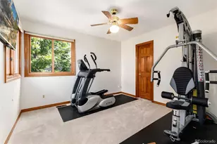 9808 Isabel Ct, Highlands Ranch, CO 80126 - Photo 29