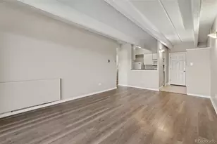 1441 N Humboldt St, Denver, CO 80218 - Photo 9