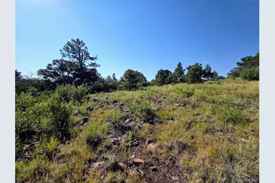 781 Ridgeway Road, Cotopaxi, CO 81223 - Photo 25
