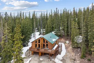 585 Miners Way, Fairplay, CO 80440 - Photo 37