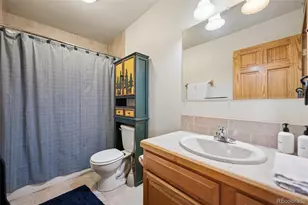585 Miners Way, Fairplay, CO 80440 - Photo 19