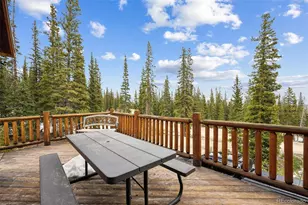 585 Miners Way, Fairplay, CO 80440 - Photo 3