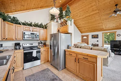 585 Miners Way, Fairplay, CO 80440 - Photo 13