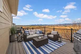 799 Robert St, Longmont, CO 80503 - Photo 39