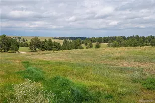 11771 E Smith Rd, Elbert, CO 80106 - Photo 9