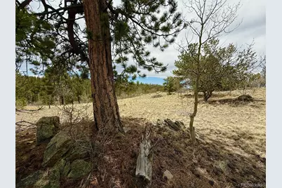 735 Quiver Road, Jefferson, CO 80456 - Photo 21