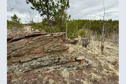 735 Quiver Road, Jefferson, CO 80456 - Photo 27
