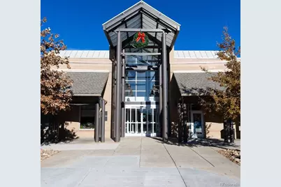 9186 Viaggio Way, Highlands Ranch, CO 80126 - Photo 41