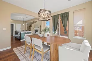 9186 Viaggio Way, Highlands Ranch, CO 80126 - Photo 11