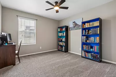 6031 Plains End Court, Castle Rock, CO 80104 - Photo 23