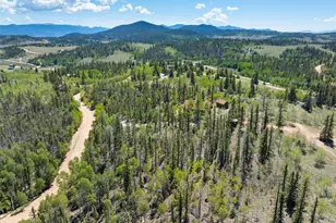 1049 Teton Trail, Como, CO 80456 - Photo 1