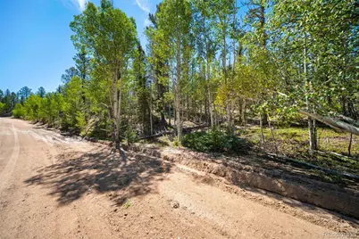 1049 Teton Trail, Como, CO 80456 - Photo 15