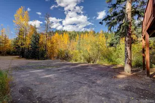 7505 Co Rd 43, Bailey, CO 80421 - Photo 7