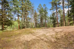 410 Rangeview Rd, Divide, CO 80814 - Photo 19