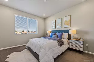 636 Silver Rock Trl, Castle Rock, CO 80104 - Photo 11