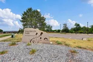 3719 Pecos Trail, Castle Rock, CO 80109 - Photo 35