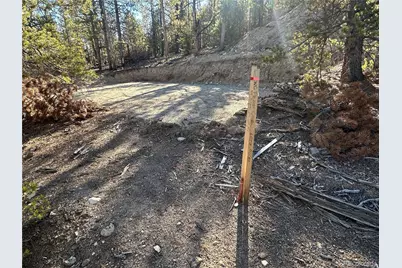 48 Lodgepole Drive, Leadville, CO 80461 - Photo 13