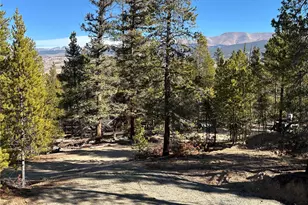 48 Lodgepole Dr, Leadville, CO 80461 - Photo 1