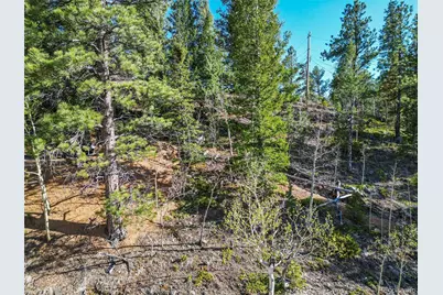 272 Wise Road, Bailey, CO 80421 - Photo 15