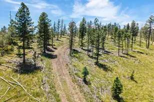 45835 Hwy 285, Poncha Springs, CO 81242 - Photo 43