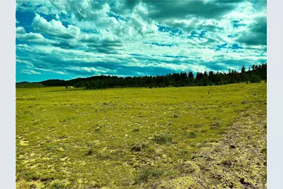 3984 Elkhorn Road, Hartsel, CO 80449 - Photo 3