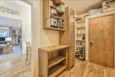 310 Tam O Shanter Way, Monument, CO 80132 - Photo 25