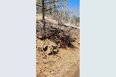 267 Ward Street, Bailey, CO 80421 - Photo 11