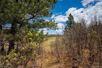 6128 Columbine Court, Larkspur, CO 80118 - Photo 49