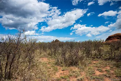 6128 Columbine Court, Larkspur, CO 80118 - Photo 41