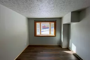 609 S Park St, Woodland Park, CO 80863 - Photo 5