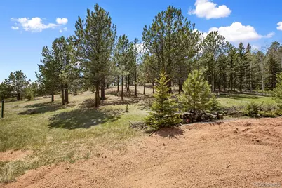 1011 W Bison Creek Trail, Divide, CO 80814 - Photo 7