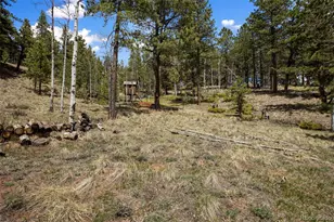 1011 W Bison Creek Trail, Divide, CO 80814 - Photo 27