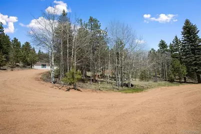 1011 W Bison Creek Trail, Divide, CO 80814 - Photo 3