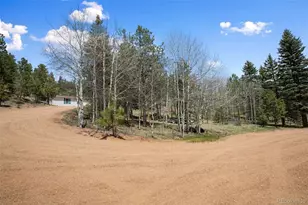 1011 W Bison Creek Trail, Divide, CO 80814 - Photo 3