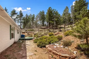 1011 W Bison Creek Trail, Divide, CO 80814 - Photo 31