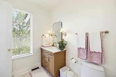 173 Ramshorn Drive, Castle Rock, CO 80108 - Photo 35