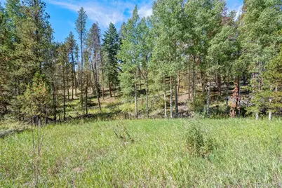 000 Lot 3 Indian Springs Road, Conifer, CO 80123 - Photo 5