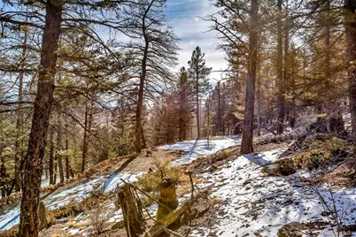 1423 Redhill Road, Fairplay, CO 80440 - Photo 21