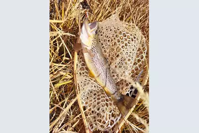 1423 Redhill Road, Fairplay, CO 80440 - Photo 7