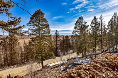 1423 Redhill Road, Fairplay, CO 80440 - Photo 29