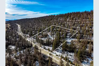 1423 Redhill Road, Fairplay, CO 80440 - Photo 3